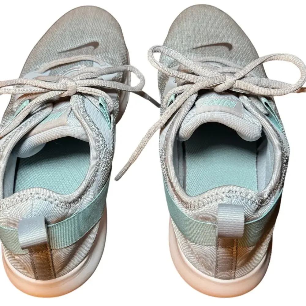 Nike Flex Trainer 9 Wolf Grey Platinum Women’s 6.5